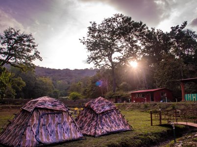 dandeli package